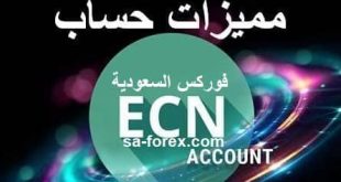 مواصفات حساب ECN بالتفاصيل
