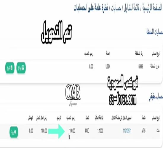 تمت عملية التحويل بين الحسابات في شركة XS الأسترالية