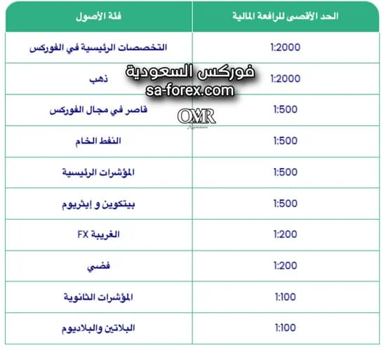 الرافعة المالية الديناميكية في شركة XS الاسترالية