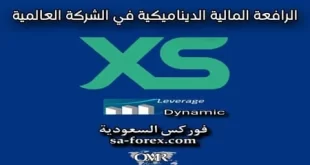 شرح الرافعة المالية الديناميكية في شركة XS الاسترالية