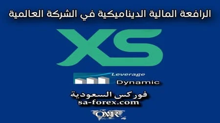 شرح الرافعة المالية الديناميكية في شركة XS الاسترالية