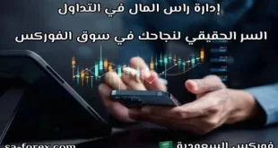 إدارة رأس المال في التداول السر الحقيقي لنجاحك في سوق الفوركس