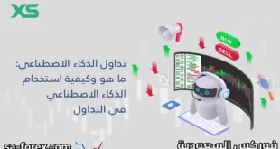 الذكاء الاصطناعي (AI Insights) من شركة XS
