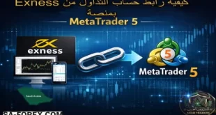 طريقة ربط حساب التداول في Exness بمنصة MetaTrader 5
